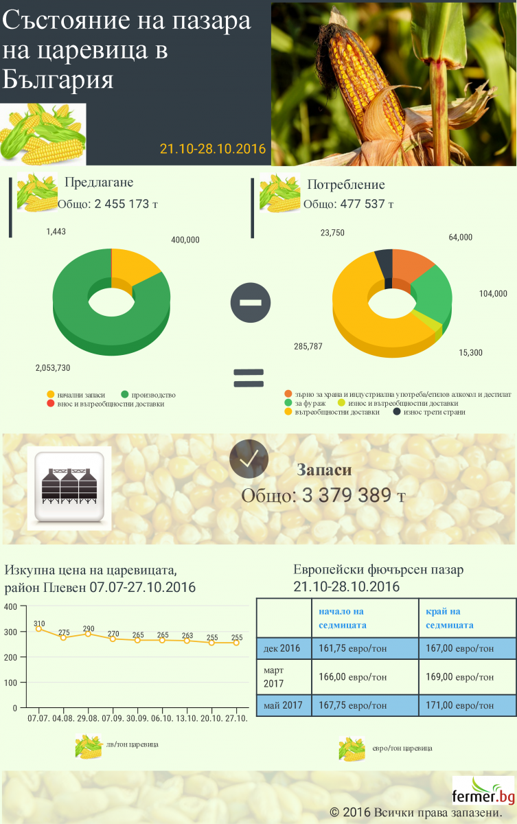 Инфографика: Състояние на пазара на царевица в страната (21.10 - 28.10.2016 г.)